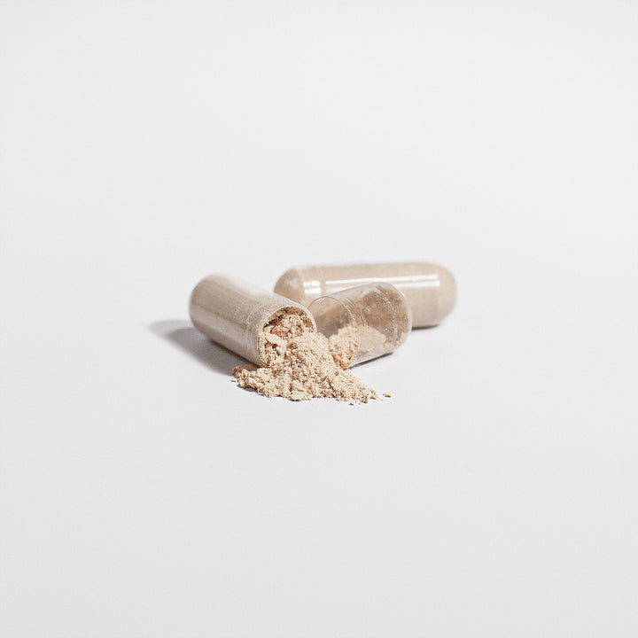Cordyceps Mushroom-3