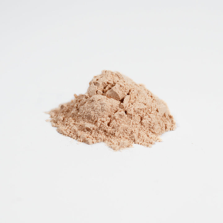 Fermented Mushroom Blend-1